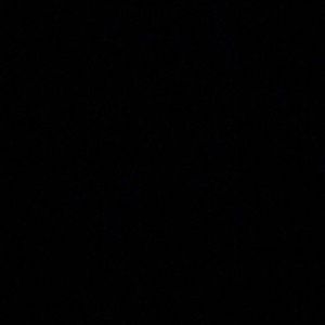 Meet your Posher, Jerry